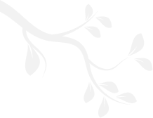 Decorative vector