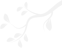 Decorative vector