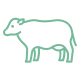 Grass Fed, Grass Finished Beef Tallow