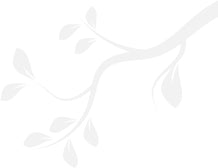 Decorative branch